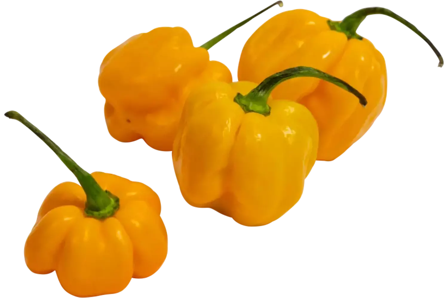 Madame jeanet pepers geel verpakt 250gr stuk 1